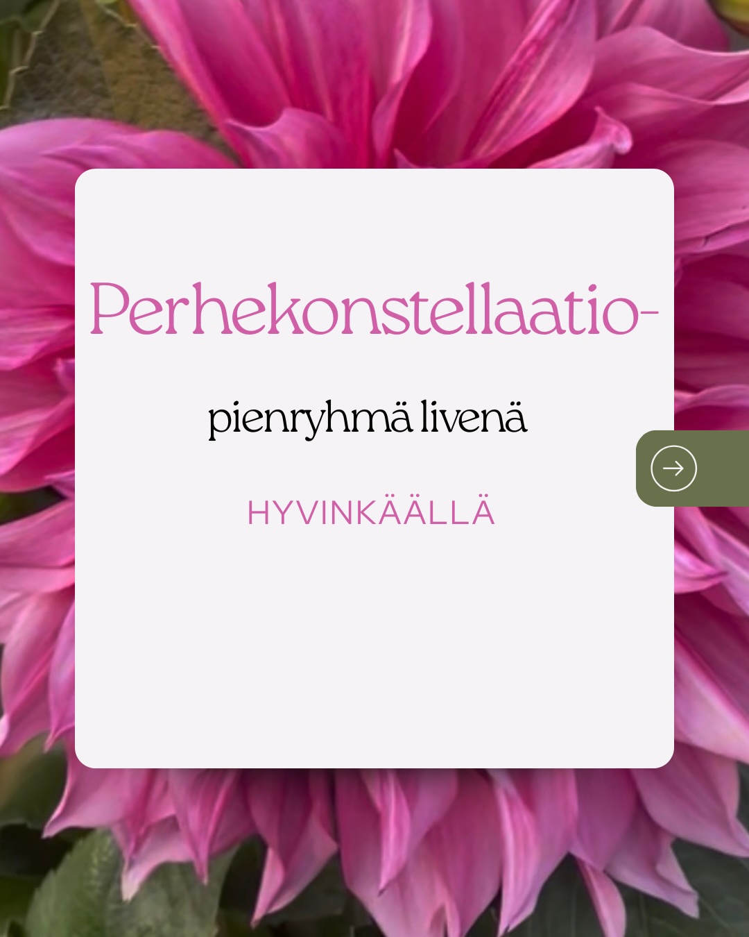 Perhekonstellaatioliveryhmä.PNG