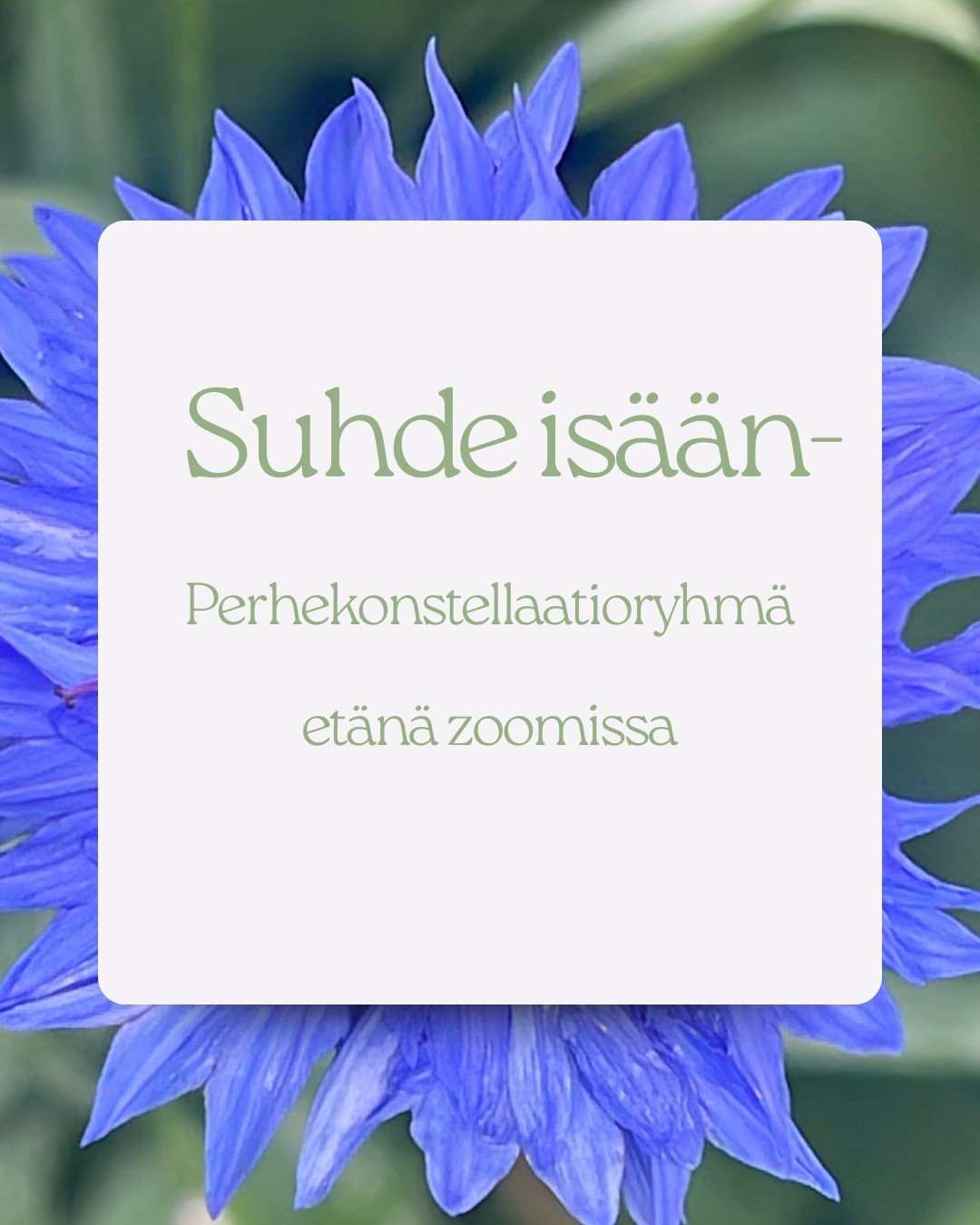 Isäsuhde.PNG