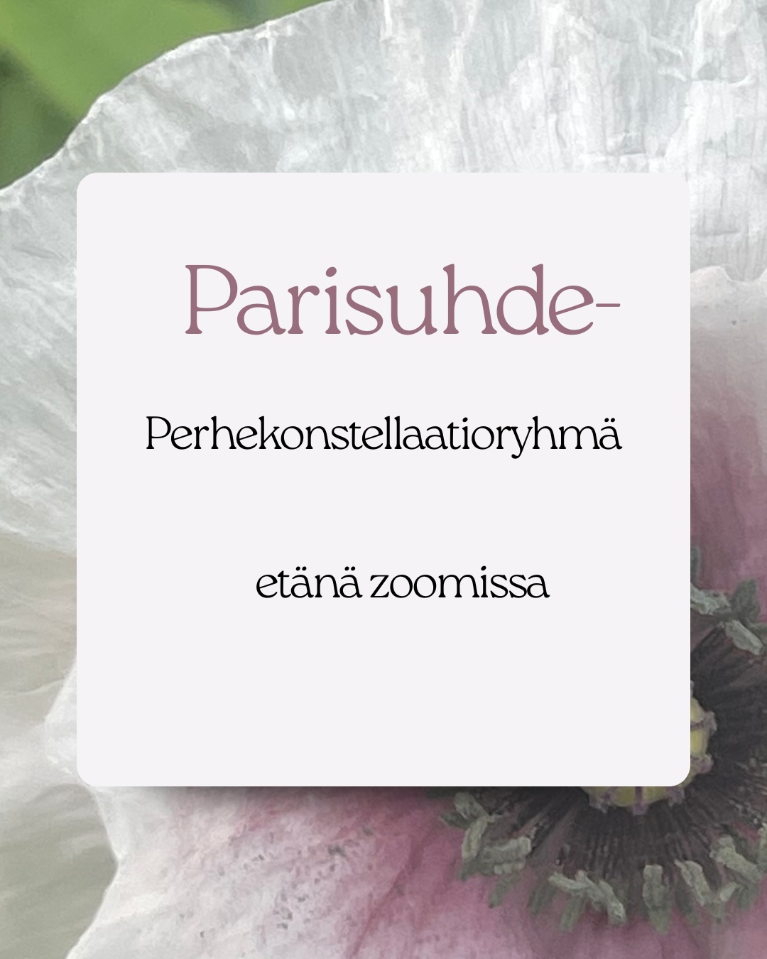 Parisuhde.PNG